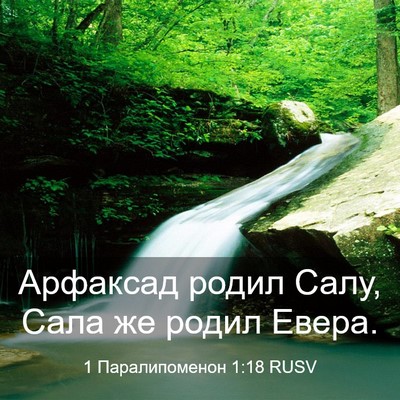 Picture 03 - 1 Паралипоменон 1:18 RUSV - Арфаксад родил Салу, Сала - Bible Verse Picture