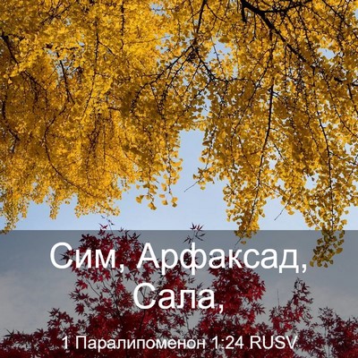Picture 03 - 1 Паралипоменон 1:24 RUSV - Сим, Арфаксад, - Bible Verse Picture