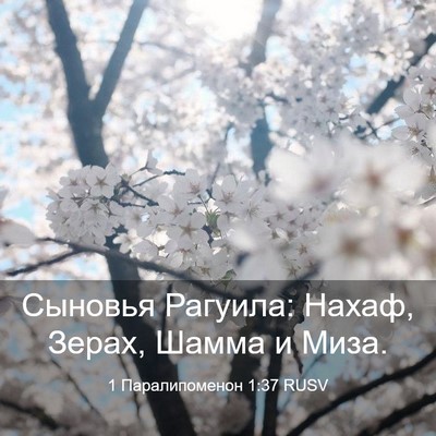 Picture 03 - 1 Паралипоменон 1:37 RUSV - Сыновья Рагуила: Нахаф, - Bible Verse Picture