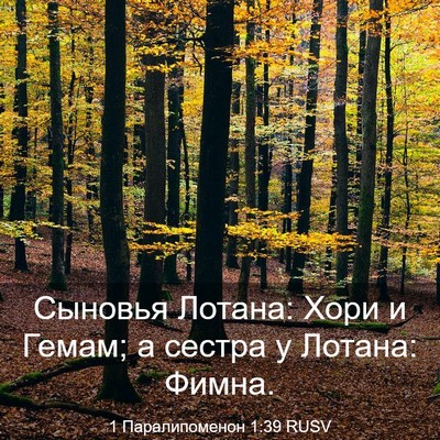 Picture 03 - 1 Паралипоменон 1:39 RUSV - Сыновья Лотана: Хори и - Bible Verse Picture