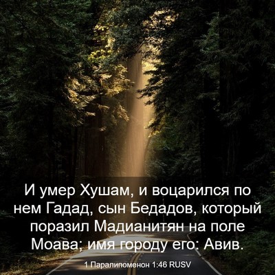 Picture 03 - 1 Паралипоменон 1:46 RUSV - И умер Хушам, и воцарился - Bible Verse Picture