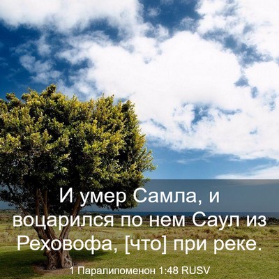 Picture 03 - 1 Паралипоменон 1:48 RUSV - И умер Самла, и воцарился - Bible Verse Picture
