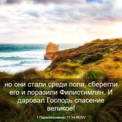 Picture 03 - 1 Паралипоменон 11:14 RUSV - но они стали среди поля, - Bible Verse Picture