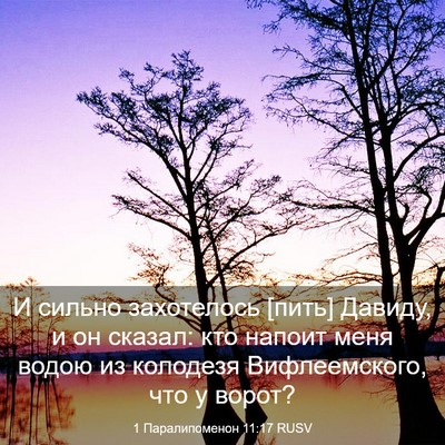 Picture 03 - 1 Паралипоменон 11:17 RUSV - И сильно захотелось [пить] - Bible Verse Picture