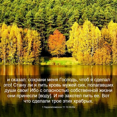 Picture 03 - 1 Паралипоменон 11:19 RUSV - и сказал: сохрани меня - Bible Verse Picture