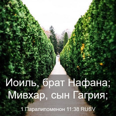 Picture 03 - 1 Паралипоменон 11:38 RUSV - Иоиль, брат Нафана; Мивхар, - Bible Verse Picture