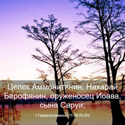 Picture 03 - 1 Паралипоменон 11:39 RUSV - Целек Аммонитянин; Нахарай - Bible Verse Picture