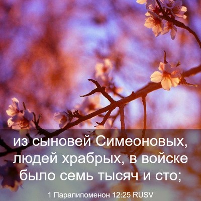 Picture 03 - 1 Паралипоменон 12:25 RUSV - из сыновей Симеоновых, - Bible Verse Picture