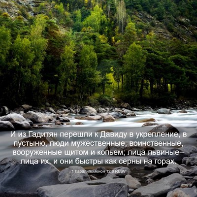 Picture 03 - 1 Паралипоменон 12:8 RUSV - И из Гадитян перешли к - Bible Verse Picture