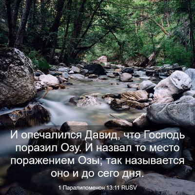 Picture 03 - 1 Паралипоменон 13:11 RUSV - И опечалился Давид, что - Bible Verse Picture