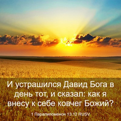 Picture 03 - 1 Паралипоменон 13:12 RUSV - И устрашился Давид Бога в - Bible Verse Picture