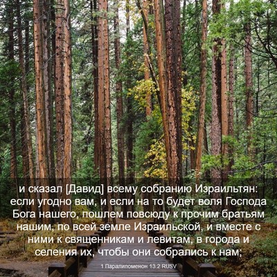 Picture 03 - 1 Паралипоменон 13:2 RUSV - и сказал [Давид] всему - Bible Verse Picture
