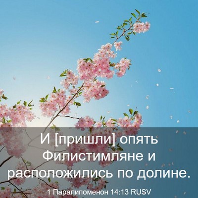 Picture 03 - 1 Паралипоменон 14:13 RUSV - И [пришли] опять - Bible Verse Picture