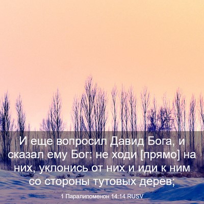 Picture 03 - 1 Паралипоменон 14:14 RUSV - И еще вопросил Давид Бога, - Bible Verse Picture
