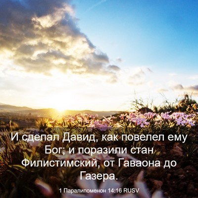 Picture 03 - 1 Паралипоменон 14:16 RUSV - И сделал Давид, как повелел - Bible Verse Picture