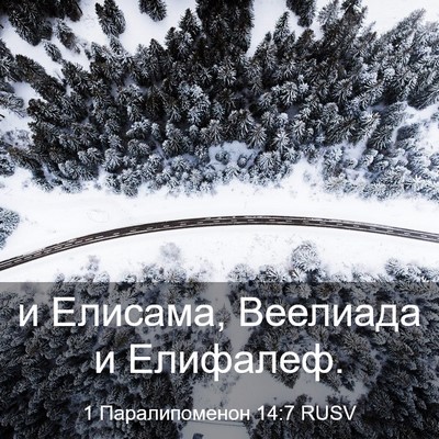 Picture 03 - 1 Паралипоменон 14:7 RUSV - и Елисама, Веелиада и - Bible Verse Picture