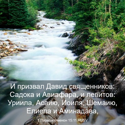 Picture 03 - 1 Паралипоменон 15:11 RUSV - И призвал Давид - Bible Verse Picture