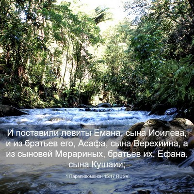 Picture 03 - 1 Паралипоменон 15:17 RUSV - И поставили левиты Емана, - Bible Verse Picture