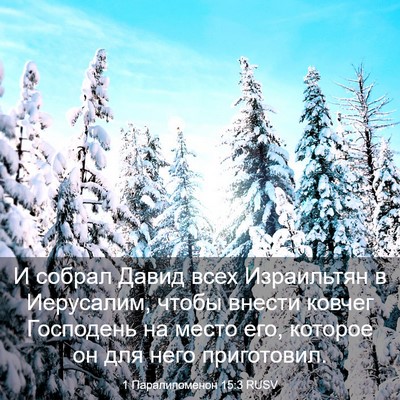 Picture 03 - 1 Паралипоменон 15:3 RUSV - И собрал Давид всех - Bible Verse Picture