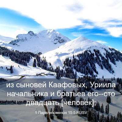 Picture 03 - 1 Паралипоменон 15:5 RUSV - из сыновей Каафовых, - Bible Verse Picture