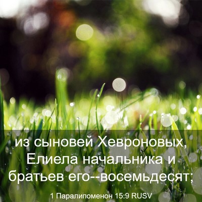 Picture 03 - 1 Паралипоменон 15:9 RUSV - из сыновей Хевроновых, - Bible Verse Picture