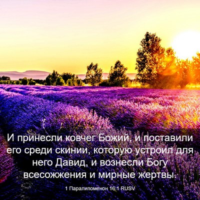 Picture 03 - 1 Паралипоменон 16:1 RUSV - И принесли ковчег Божий, и - Bible Verse Picture