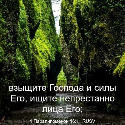 Picture 03 - 1 Паралипоменон 16:11 RUSV - взыщите Господа и силы Его, - Bible Verse Picture