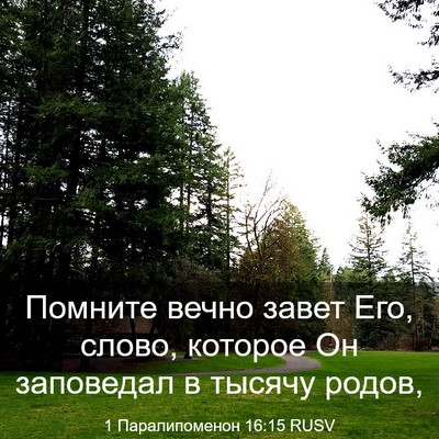 Picture 03 - 1 Паралипоменон 16:15 RUSV - Помните вечно завет Его, - Bible Verse Picture