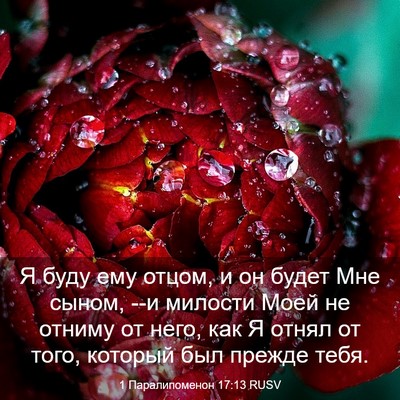 Picture 03 - 1 Паралипоменон 17:13 RUSV - Я буду ему отцом, и он будет - Bible Verse Picture