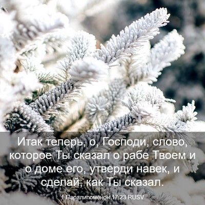 Picture 03 - 1 Паралипоменон 17:23 RUSV - Итак теперь, о, Господи, - Bible Verse Picture