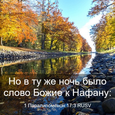 Picture 03 - 1 Паралипоменон 17:3 RUSV - Но в ту же ночь было слово - Bible Verse Picture