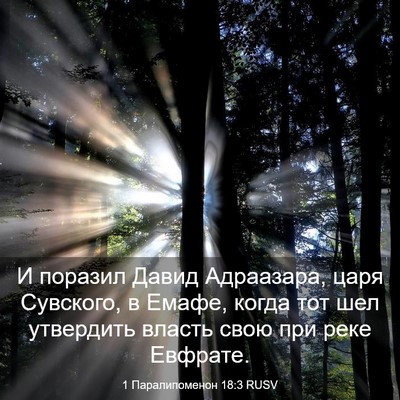 Picture 03 - 1 Паралипоменон 18:3 RUSV - И поразил Давид Адраазара, - Bible Verse Picture