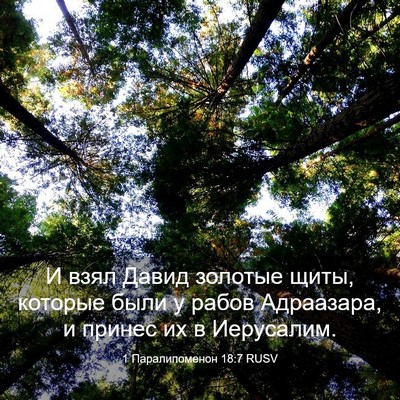 Picture 03 - 1 Паралипоменон 18:7 RUSV - И взял Давид золотые щиты, - Bible Verse Picture