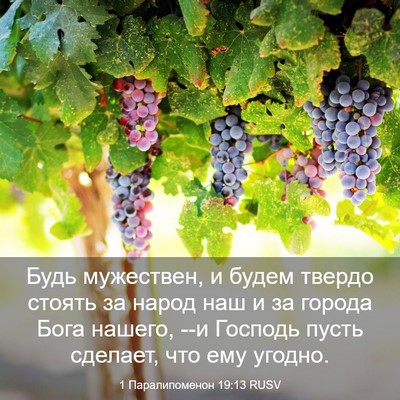 Picture 03 - 1 Паралипоменон 19:13 RUSV - Будь мужествен, и будем - Bible Verse Picture