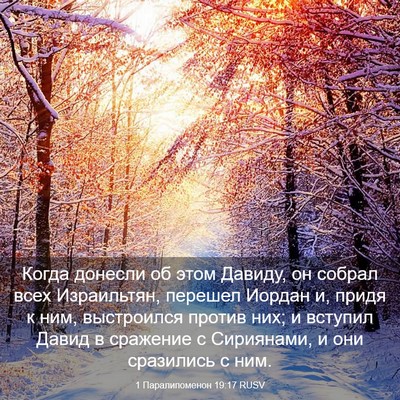 Picture 03 - 1 Паралипоменон 19:17 RUSV - Когда донесли об этом - Bible Verse Picture