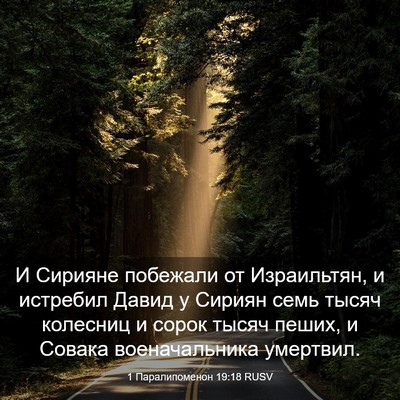 Picture 03 - 1 Паралипоменон 19:18 RUSV - И Сирияне побежали от - Bible Verse Picture