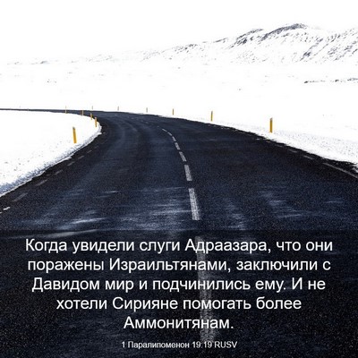 Picture 03 - 1 Паралипоменон 19:19 RUSV - Когда увидели слуги - Bible Verse Picture