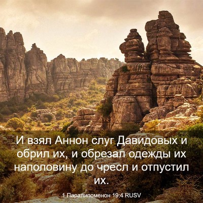 Picture 03 - 1 Паралипоменон 19:4 RUSV - И взял Аннон слуг - Bible Verse Picture