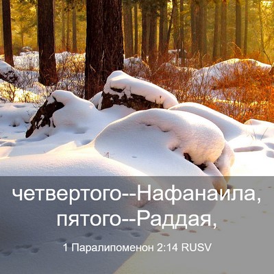 Picture 03 - 1 Паралипоменон 2:14 RUSV - четвертого--Нафанаила, - Bible Verse Picture