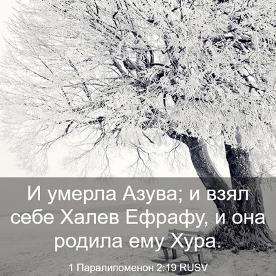 Picture 03 - 1 Паралипоменон 2:19 RUSV - И умерла Азува; и взял себе - Bible Verse Picture