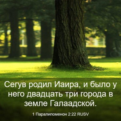 Picture 03 - 1 Паралипоменон 2:22 RUSV - Сегув родил Иаира, и было у - Bible Verse Picture
