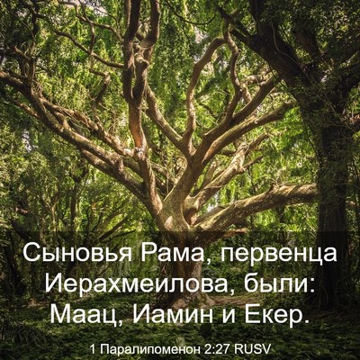 Picture 03 - 1 Паралипоменон 2:27 RUSV - Сыновья Рама, первенца - Bible Verse Picture