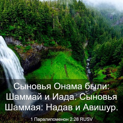Picture 03 - 1 Паралипоменон 2:28 RUSV - Сыновья Онама были: Шаммай - Bible Verse Picture