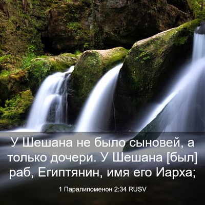 Picture 03 - 1 Паралипоменон 2:34 RUSV - У Шешана не было сыновей, а - Bible Verse Picture