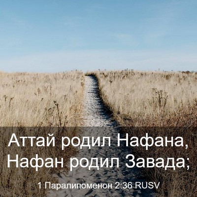 Picture 03 - 1 Паралипоменон 2:36 RUSV - Аттай родил Нафана, Нафан - Bible Verse Picture