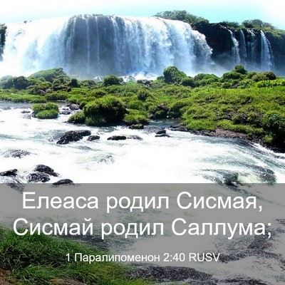 Picture 03 - 1 Паралипоменон 2:40 RUSV - Елеаса родил Сисмая, - Bible Verse Picture