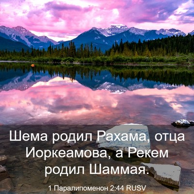 Picture 03 - 1 Паралипоменон 2:44 RUSV - Шема родил Рахама, отца - Bible Verse Picture