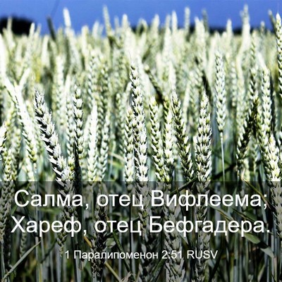 Picture 03 - 1 Паралипоменон 2:51 RUSV - Салма, отец Вифлеема; - Bible Verse Picture