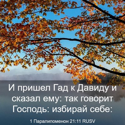 Picture 03 - 1 Паралипоменон 21:11 RUSV - И пришел Гад к Давиду и - Bible Verse Picture