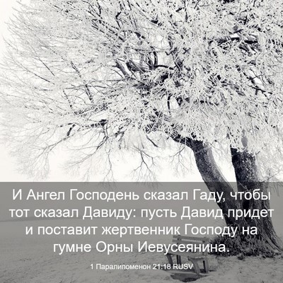 Picture 03 - 1 Паралипоменон 21:18 RUSV - И Ангел Господень сказал - Bible Verse Picture